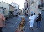 infiorata (88)